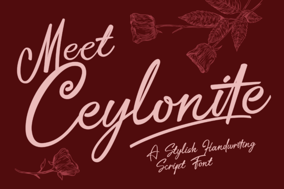 Ceylonite Font Review: A Designer’s Take on Script Amp’s Latest