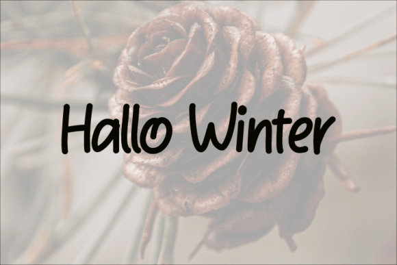 Hallo Winter: A Designer’s Honest Review