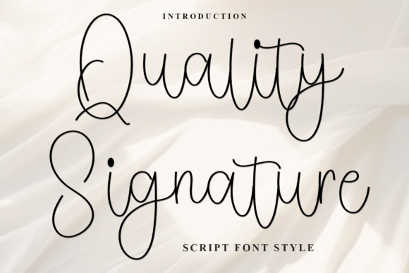 Quality Signature Typeface Review: A Soft Script for Modern Branding