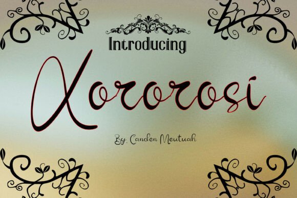 Xororosi Review: A Designer’s Take on This Script Amp